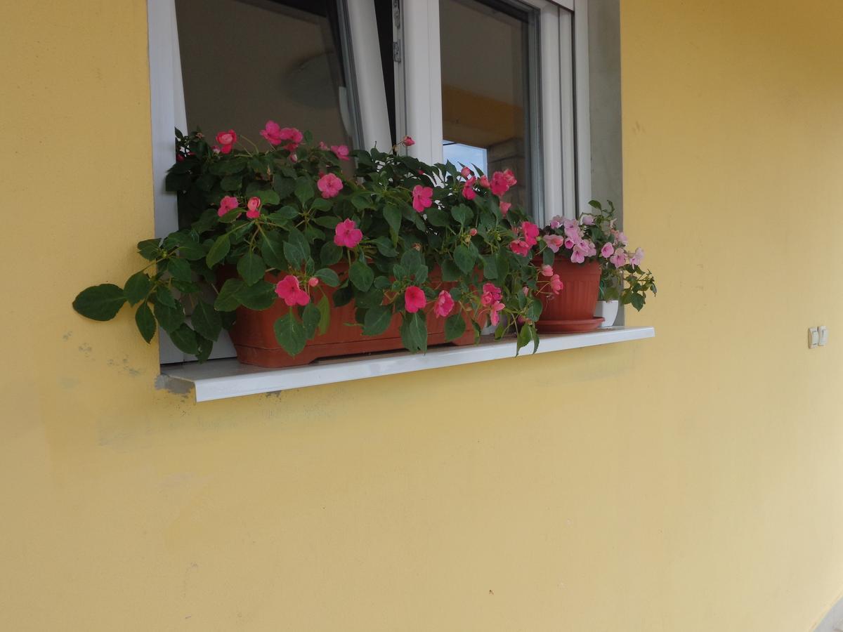 Guest House Ivana Tivat Exteriér fotografie